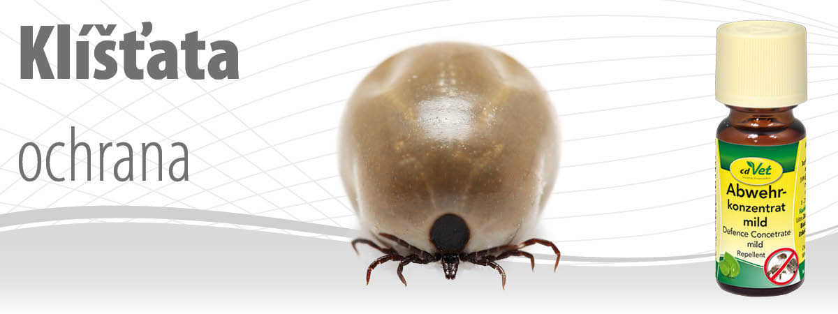 Klíšťata u psa