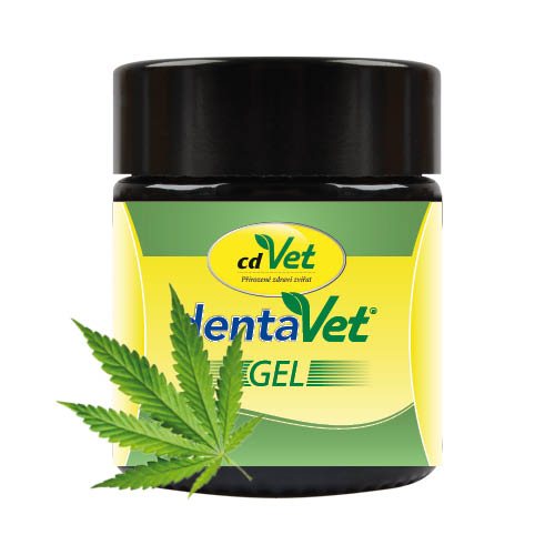 Skleněná dóza DentaVet Gel s konopným listem – přírodní gel pro péči o zuby a dásně psů.