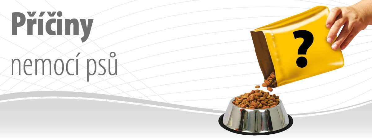 Příčiny nemocí psů
