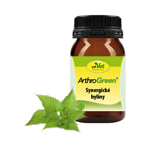 Hnědá lahvička ArthroGreen Synergické byliny s listy kopřivy – bylinný doplněk na klouby psů a koček.