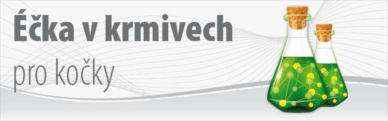 clanek-ecka-v-krmivech-pro-kocky-uvod