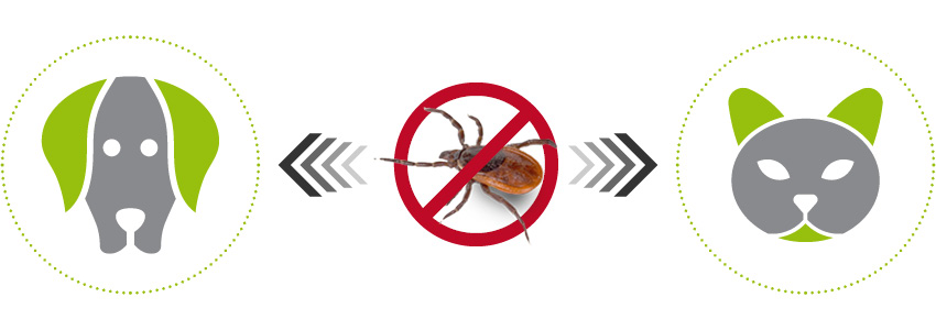 Harmonizace kožní mikroflóry + změna pachu snižuje zájem parazitů.