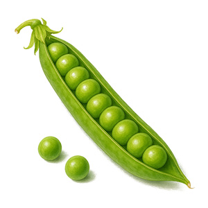 Hrášek