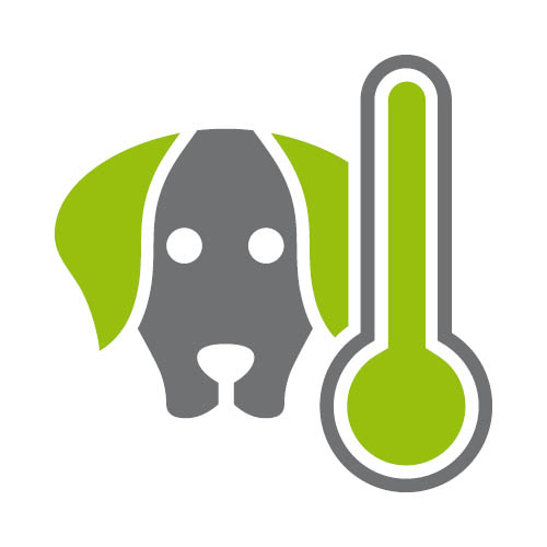 Ikona psa a teploměru.