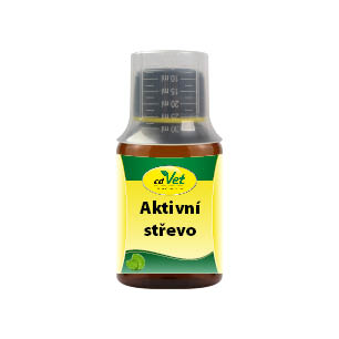 aktivni-strevo-3