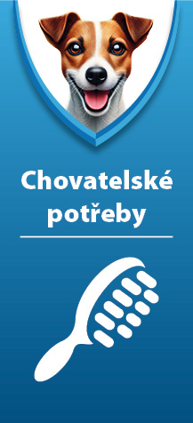 Nemoci koček 4