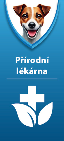 Nemoci koček 3