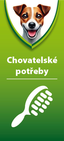 Nemoci koček 2
