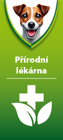 Nemoci koček 1