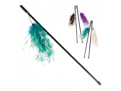 Kočičí prut s pštrosím peřím