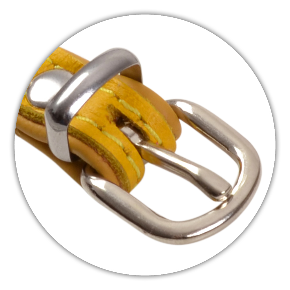 BF Kožený obojek DENYS žlutý Velikost: 23 až 28 cm / 14 mm