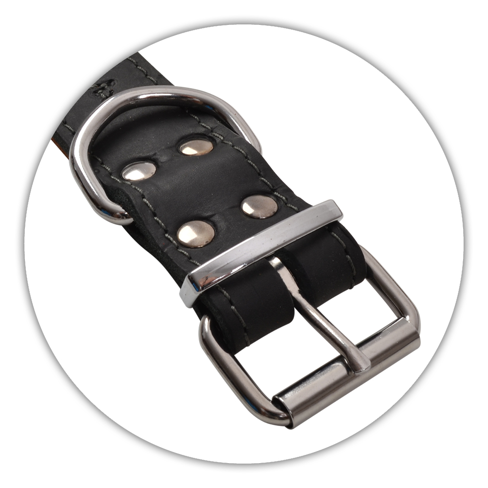 BF Kožený obojek EKG černý Velikost: 52 až 62 cm / 40 mm