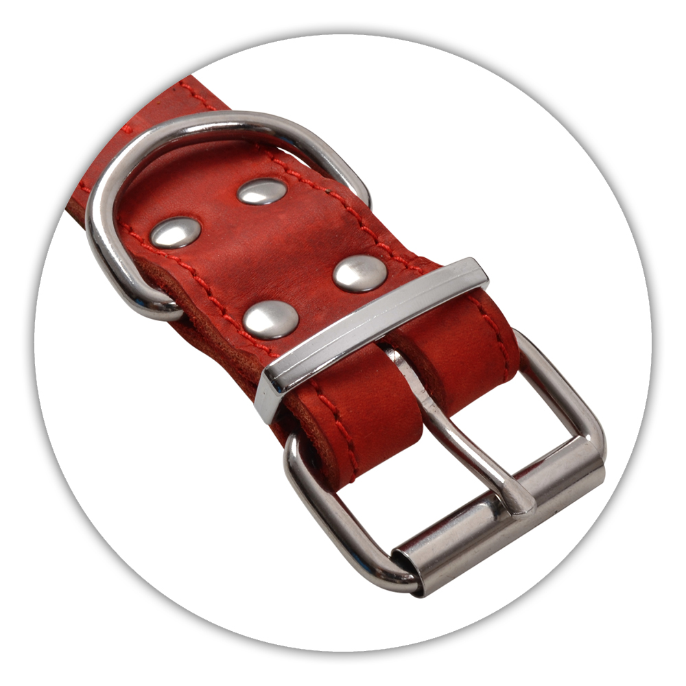 BF Kožený obojek EKG červený Velikost: 56 až 67 cm / 40 mm