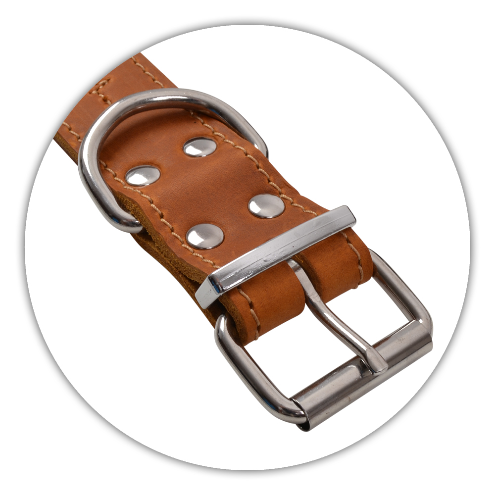 BF Kožený obojek EKG koňakový Velikost: 56 až 67 cm / 40 mm