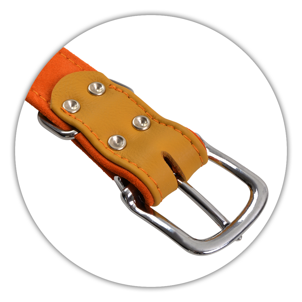 BF Kožený obojek JACKY žlutý Velikost: 30 až 39 cm / 35 mm