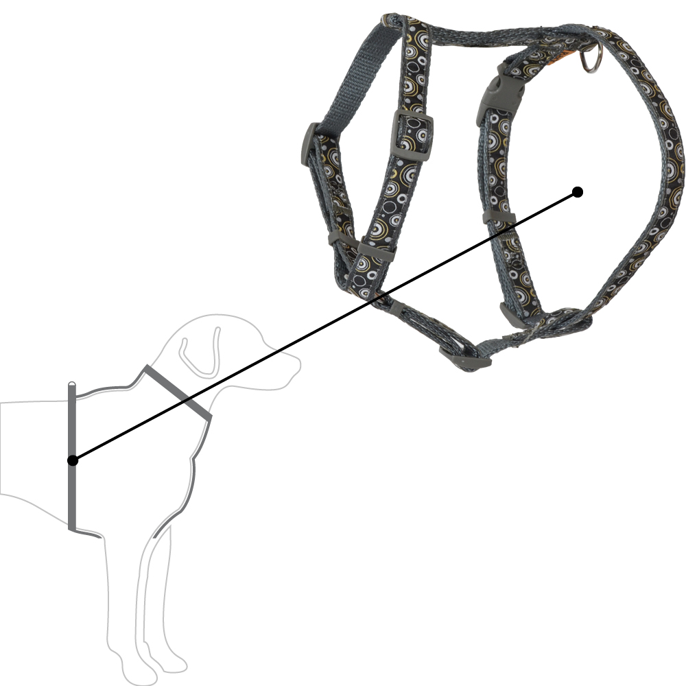 BF Kšíry popruhové Kroužky - šedé Velikost: OH 40 až 70 cm / 20 mm