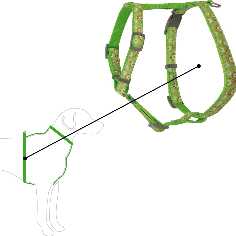 BF Kšíry popruhové Kroužky - zelené Velikost: OH 40 až 70 cm / 20 mm