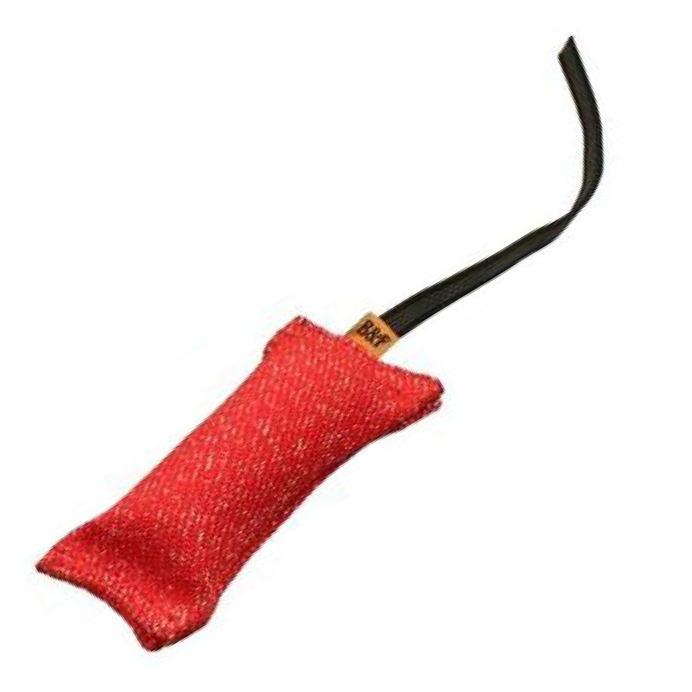 BF Pešek pro psa - látkový RINGO Velikost: M - 4 x 17 cm / 50 g