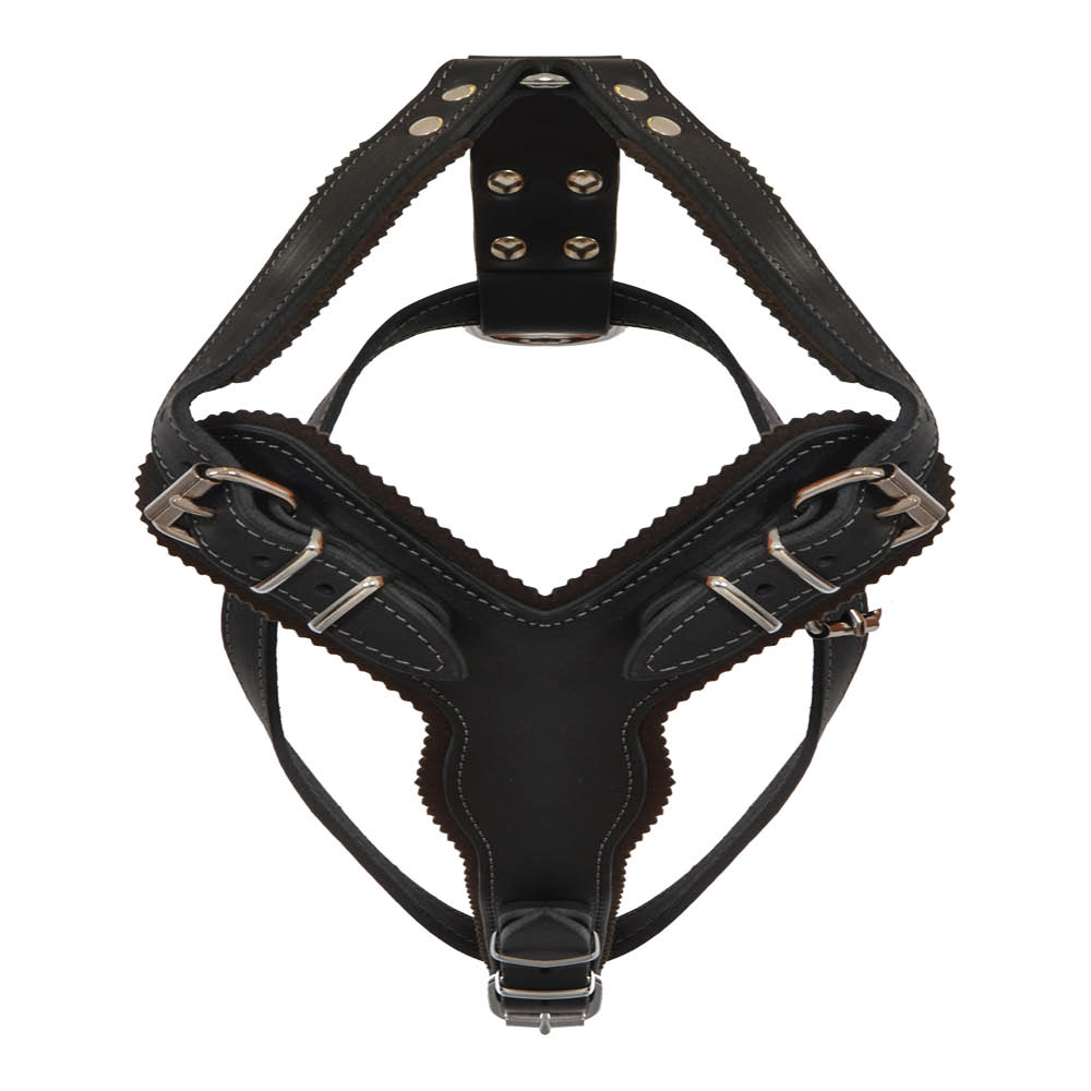 BF Postroj pro psy - kožený - robustní - černý Velikost: OK: 48-69 cm, OH: 68-81 cm