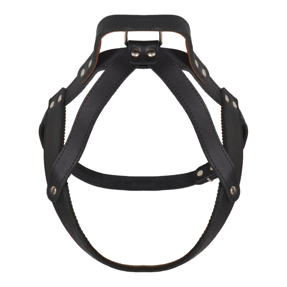 BF Postroj pro psy - kožený - s madlem - černý Velikost: OH: 66-79 cm