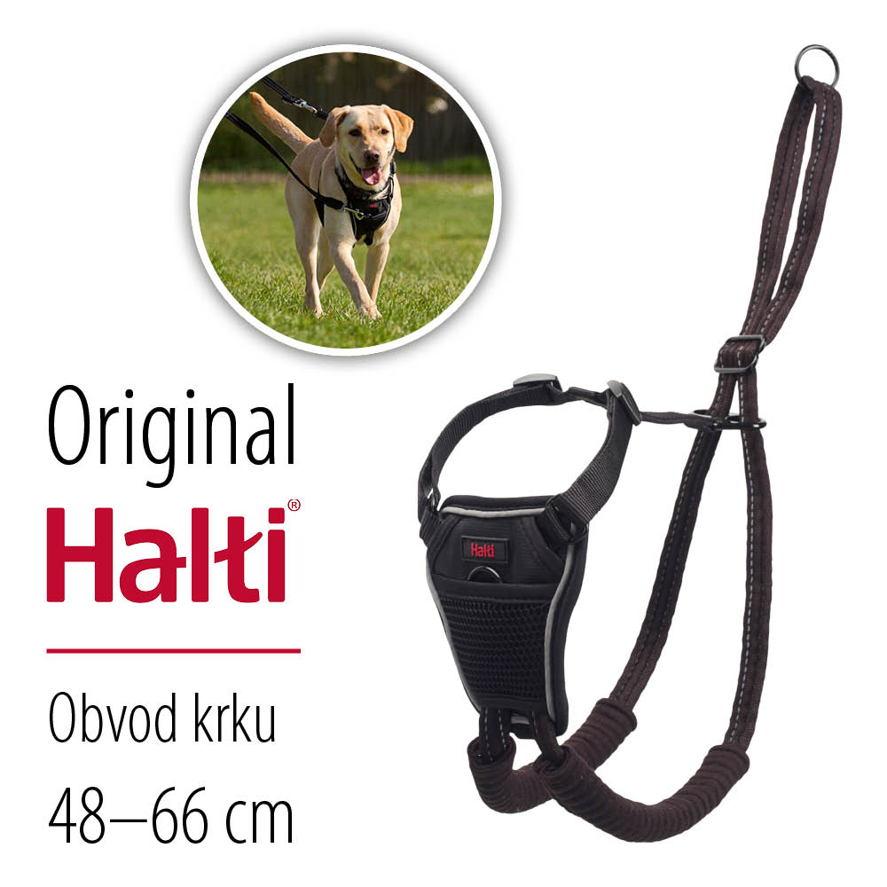 Company of Animals HALTI kšíry - slabinové NON-PULL HARNESS Large Velikost: Large