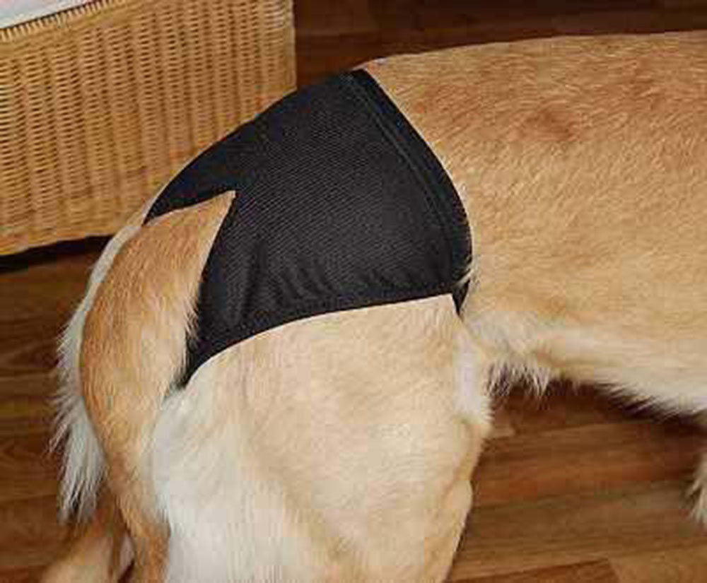 Plenky pro psa černé 50-59cm