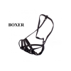 boxer