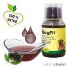 Regenerátor Dog Fit - cdVet