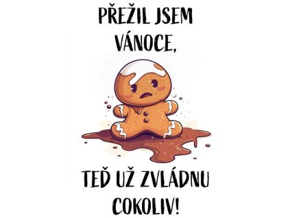prezil jsem vanoce ted uz preziju vsechno