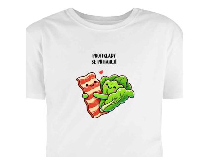protiklady se pritahuji