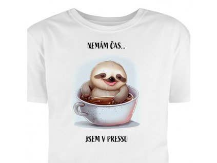 nemam cas jsem v pressu