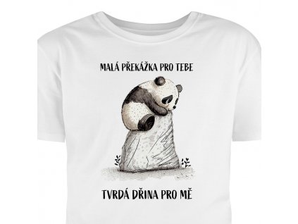 mala prekazka pro tebe tvrda drina pro me
