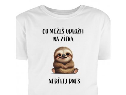 co muzes odlozit na zitra nedel dnes
