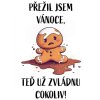 prezil jsem vanoce ted uz preziju vsechno
