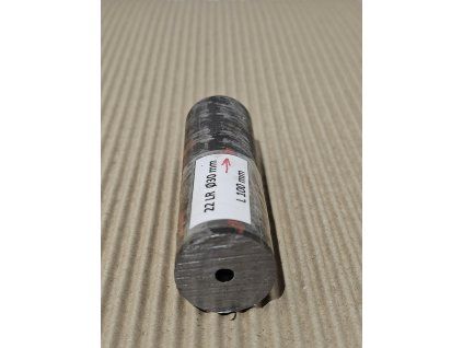 22 LR 100 30