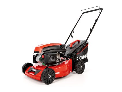 CEDKS42 2025 01