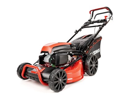CEDKS48S 2025 01