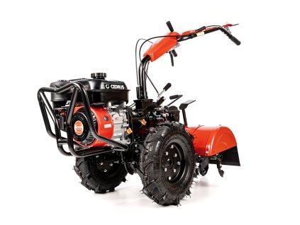 CEDRUSGLX640 01
