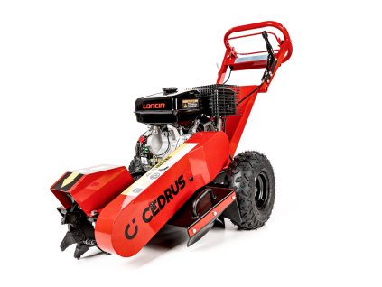 CEDFR01 01