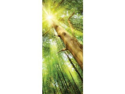 Vliesová obrazová tapeta na dveře Les 33104, 91 x 211 cm, Photomurals, Vavex