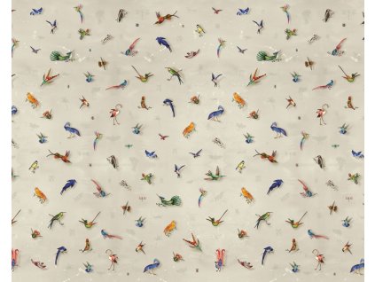 Vliesová obrazová tapeta Aves B, 350x280cm, Imaginum, Vavex