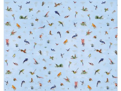 Vliesová obrazová tapeta Aves A, 350x280cm, Imaginum, Vavex