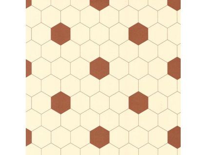 0 0 xx60f0238fe9571