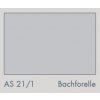 AS 21:1 Bachforelle