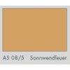 AS 08:5 Sonnwendfeuer
