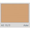 AS 10:3 Aster