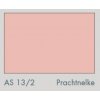 AS 13:2 Prachtnelke