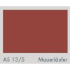 AS 13:5 Mauerläufer