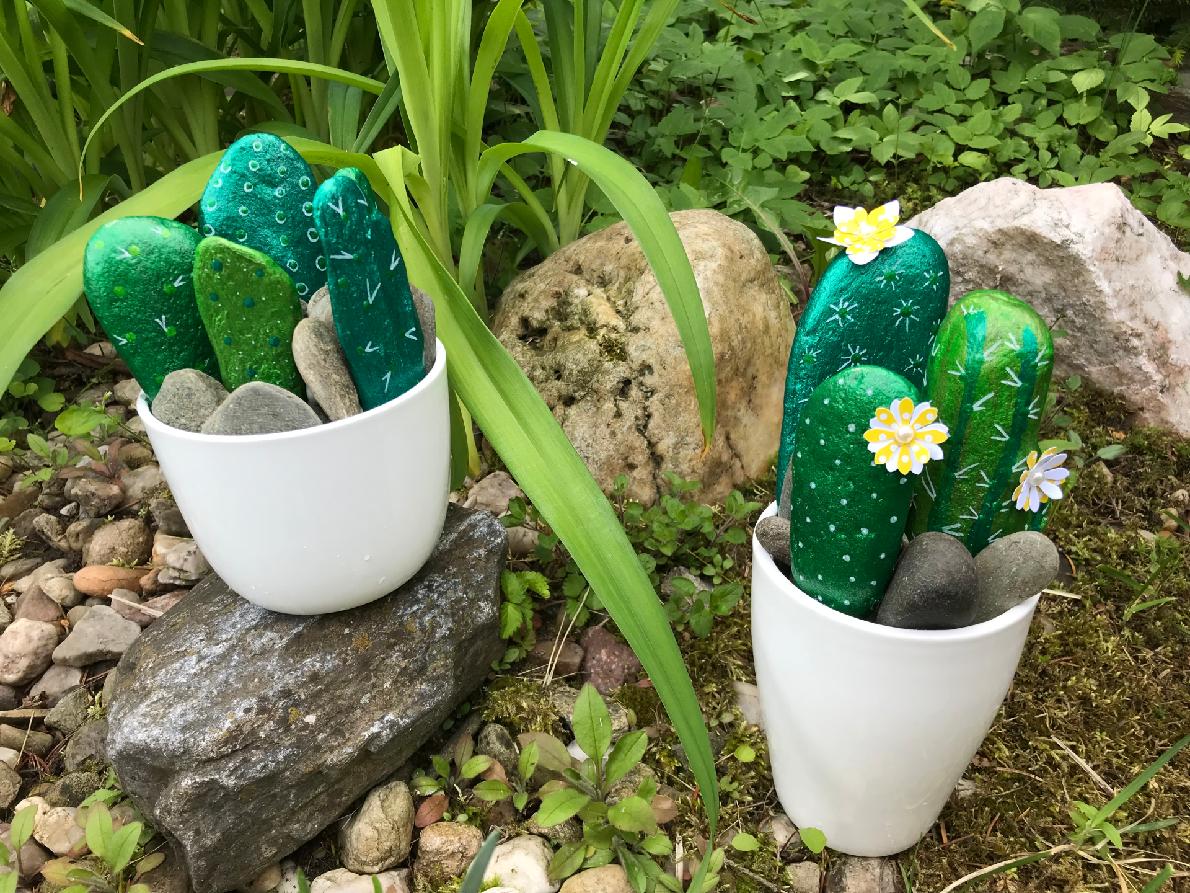 Kaktusy z kamenu od Honzy Diblíčka