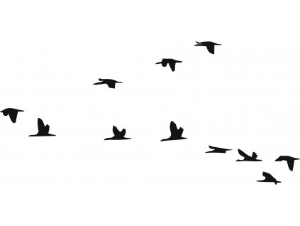 Letící ptáci - plastová šablona 267